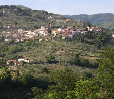 I Faggi di Iavello 