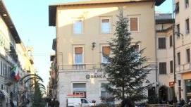 Alcuni negozi di Corso Matteotti