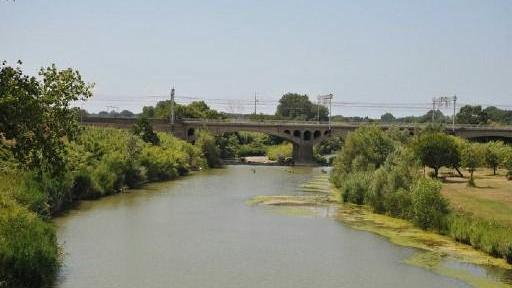 Un fiume da salvare, idee e segnalazioni per difendere il Cecina