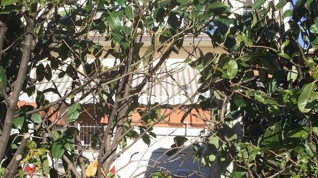 Bidone abbandonato per strada
