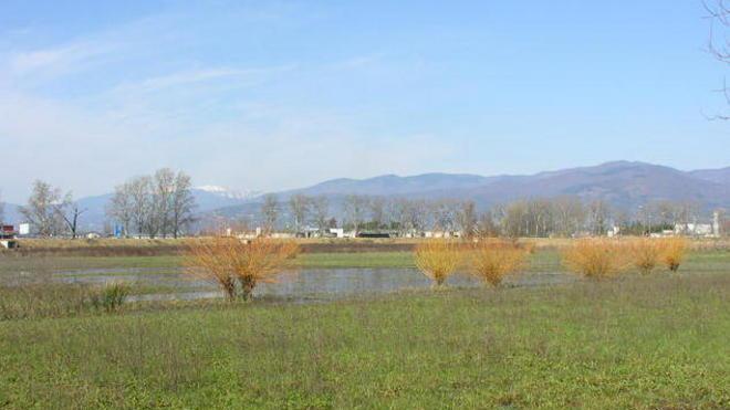 Ecco il progetto per l’area di Pantanelle