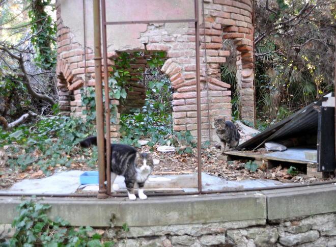 Il cemento cambierà soltanto collina 