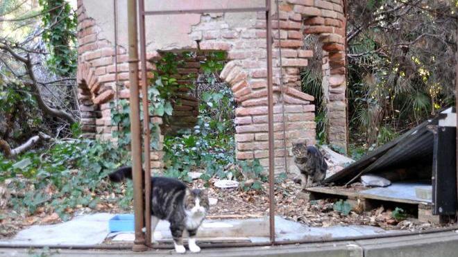 Il cemento cambierà soltanto collina