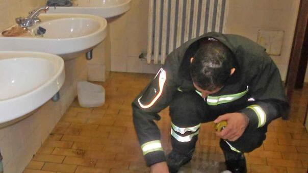 Allagano bagni e aule, scuola inagibile