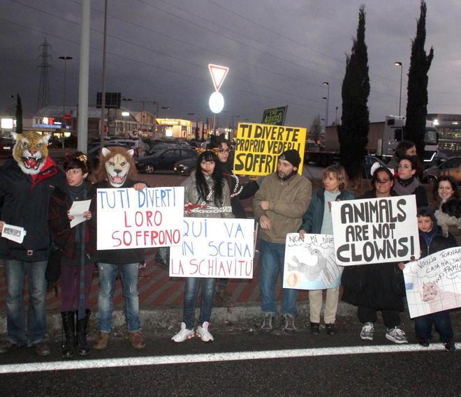 Animalisti contro il circo acquatico