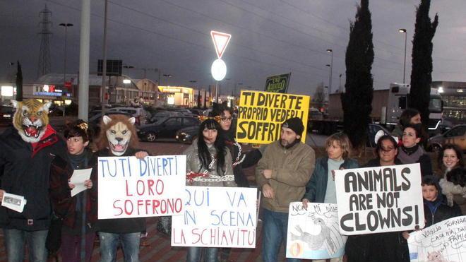 Animalisti contro il circo acquatico