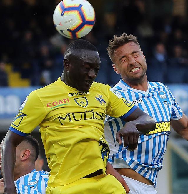 Pagelle spal