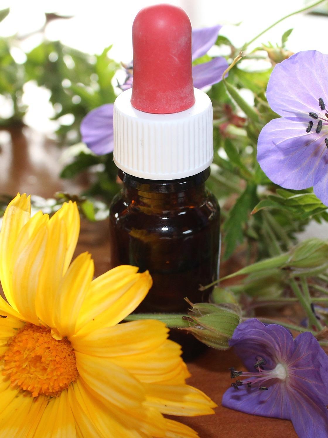 Scuola di Naturopatia SINCro: nel cuore della Toscana l'Eccellenza della Formazione in Naturopatia 