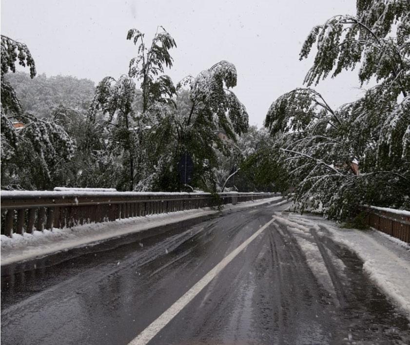 EMERGENZA METEO/  Enel: "Ancora 2mila 300 senza luce" Ponti riaperti a Modena