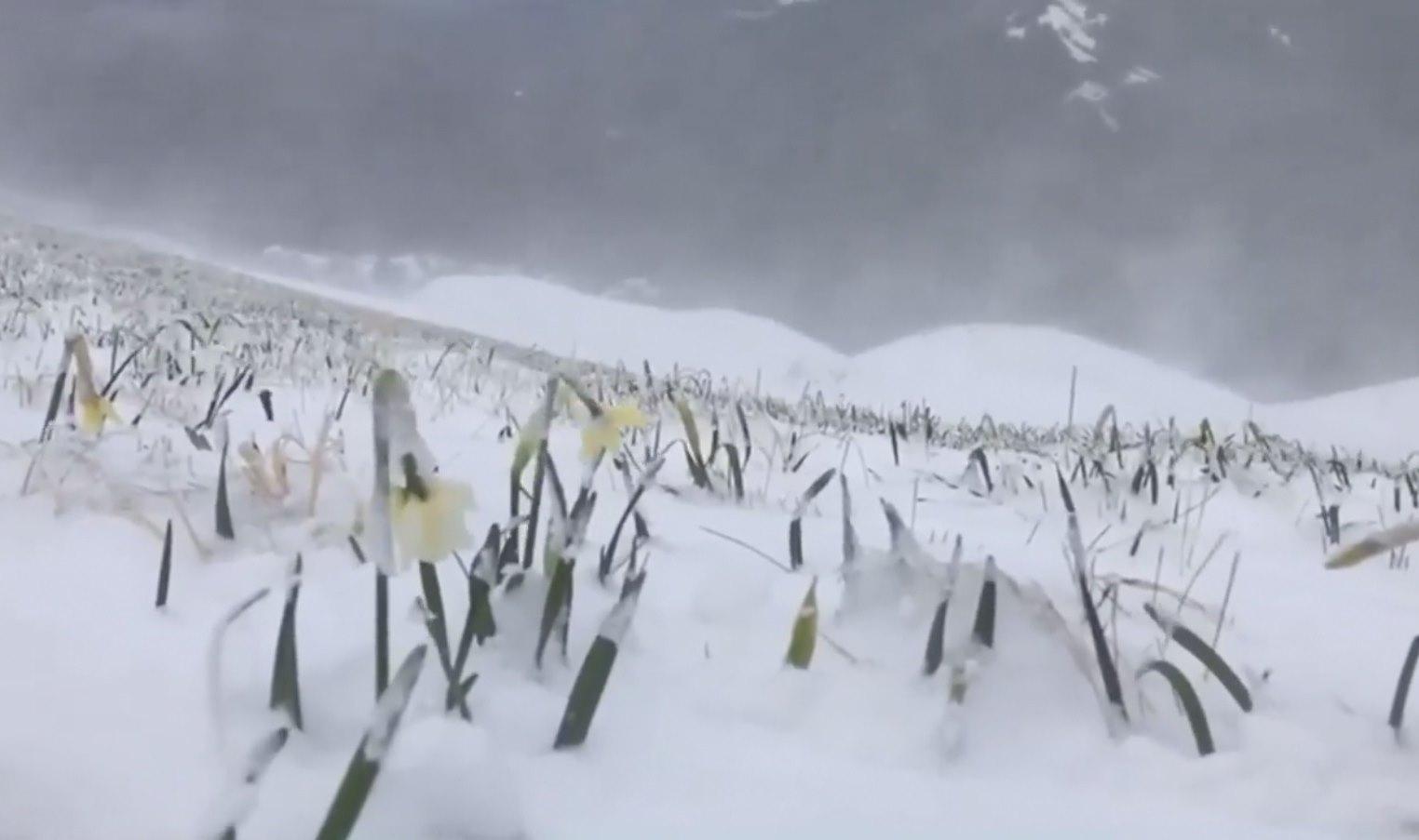 Il Comune riaccende i termosifoni nelle scuole. E sul Monte Croce neve sulla fioritura di giunchiglie