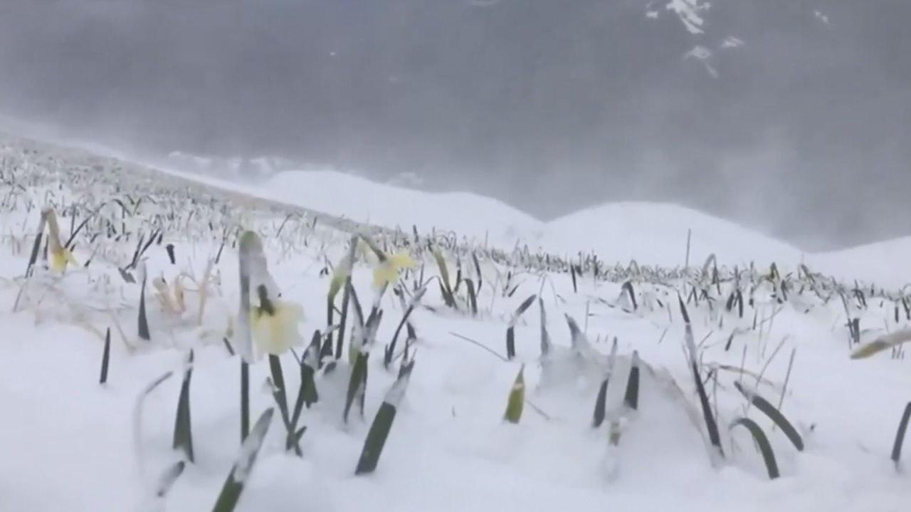 Il Comune riaccende i termosifoni nelle scuole. E sul Monte Croce neve sulla fioritura di giunchiglie