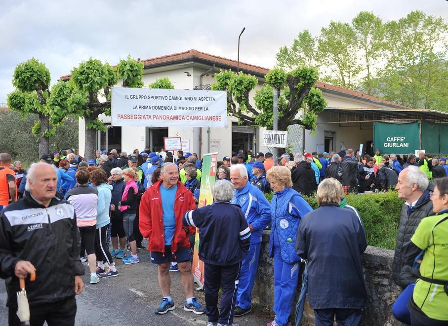 Più di 1000 sfidano la pioggia e il freddo per correre alla Passeggiata Camiglianese 