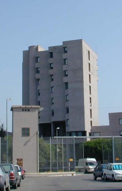 Sughere, a rischio insegnanti e infermieri 