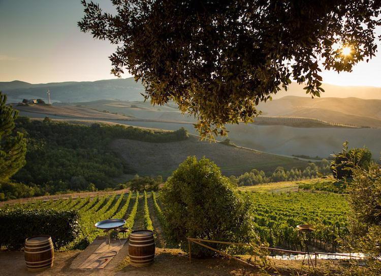 Pieve de’ Pitti, vini di qualità dalla generosa Terricciola 
