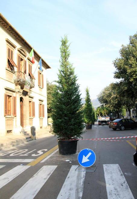 La collaborazione con i vivaisti pistoiesi torna in discussione 