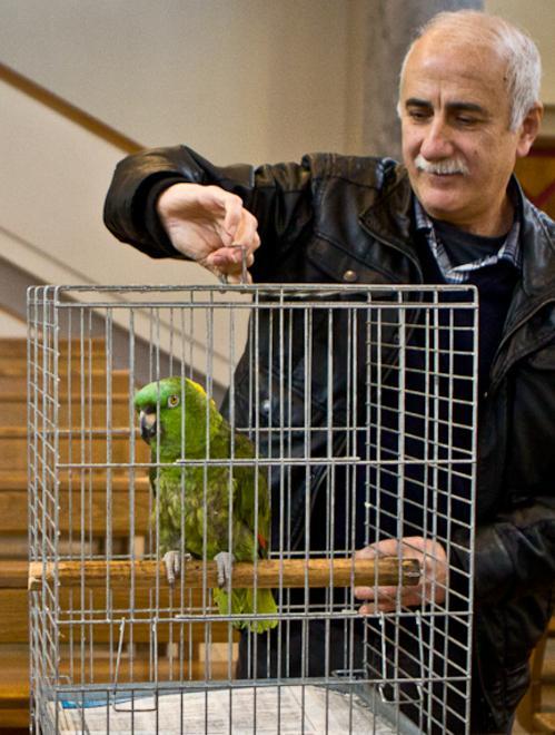 Chiesa gioiosa per la benedizione degli animali 