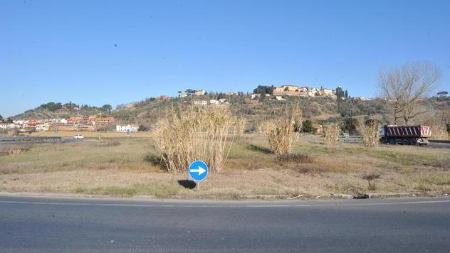 La rotatoria è un canneto e toglie visibilità alle auto
