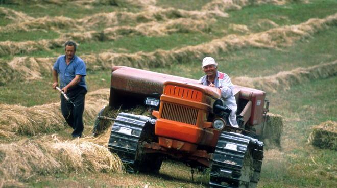 Imu, gli effetti in agricoltura Chi deve pagare: un incontro