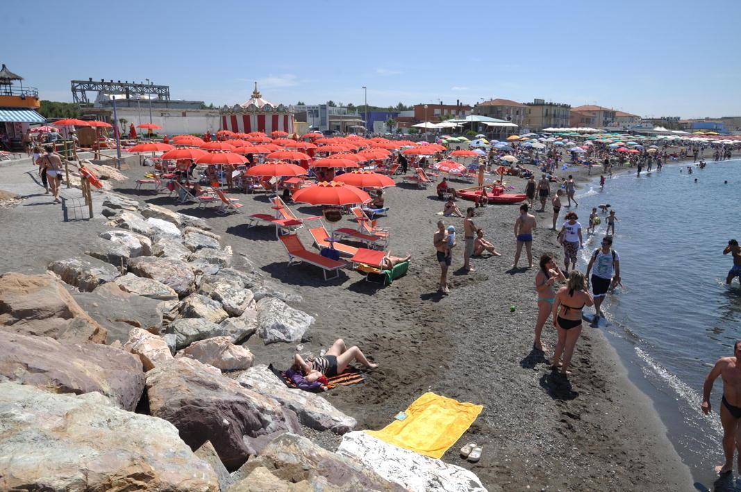 Cani, musica e giochi: guida ai divieti in spiaggia 