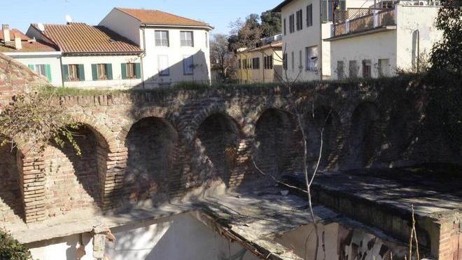 Quando la troniera era giardino d’incanti