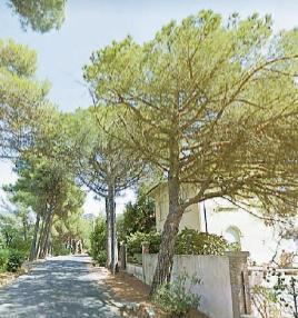Interventi urgenti per la sicurezza di parchi e strade 