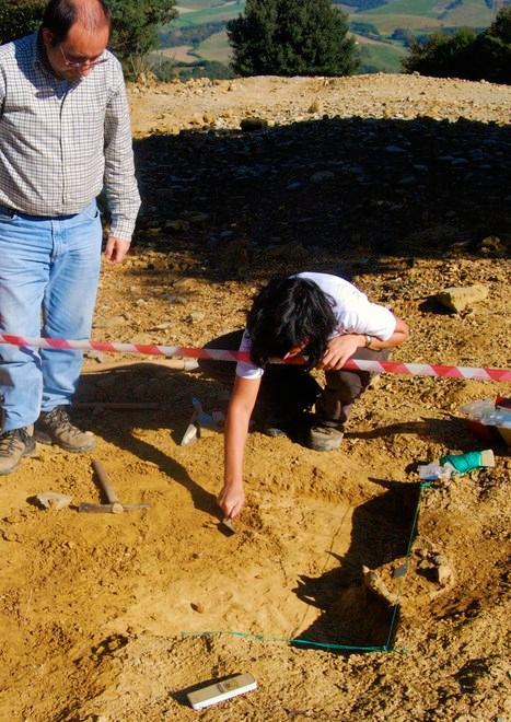 Al Museo un settore dedicato alla Necropoli