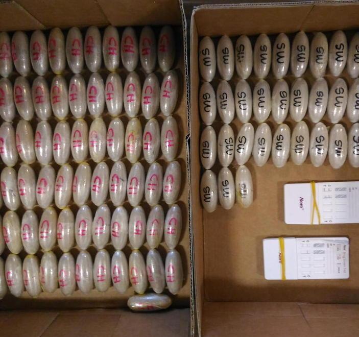 Il Galilei usato come scalo dai corrieri della droga 