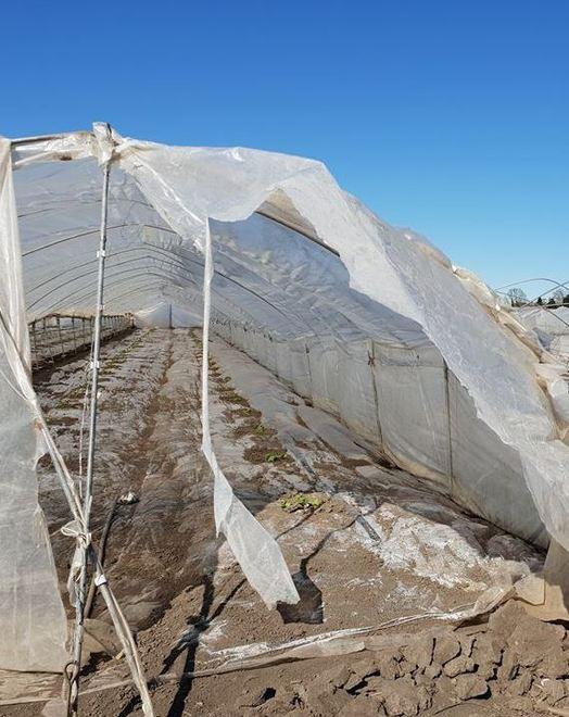 Danni per 30 milioni alle coltivazioni agricole 
