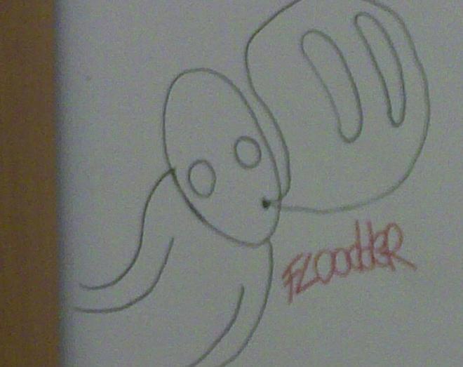 Il mistero del writer che non c’è «Disegno fantasmi per protesta» 