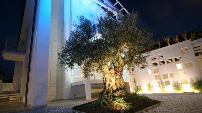 Ex-albergatore costruisce la mega-villa del futuro
