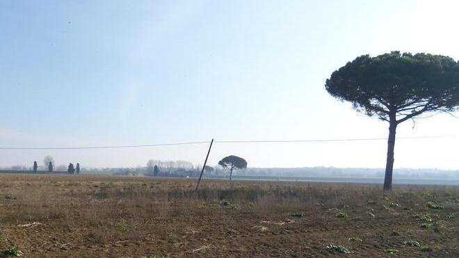 «Niente combustione nel cogeneratore: processo naturale»