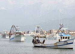 Caro gasolio niente pesce fresco per quattro giorni 