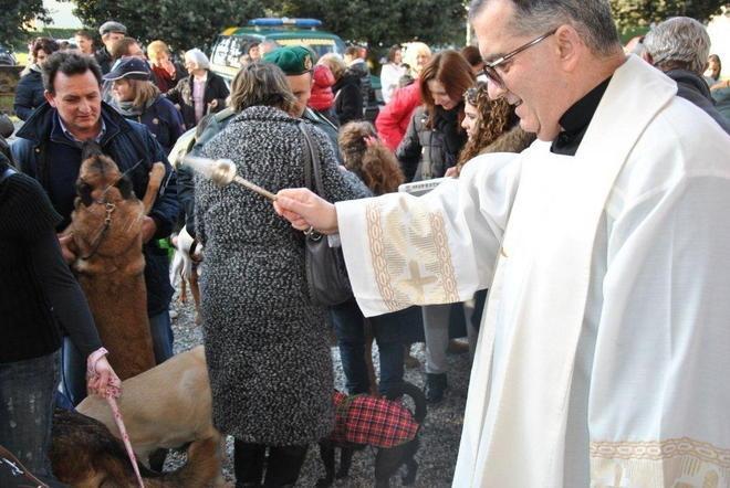 A Lucca la benedizione di cani e gatti&nbsp;- Foto 