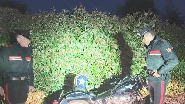 Chiede di salire in moto e poi scappa: arrestato ladro di Harley Davidson