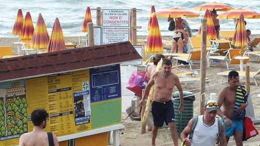 Spiaggia Dog beach serve un gestore per la stagione 2019