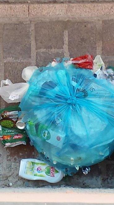 Sos sporcizia, colpa dei gabbiani predatori 