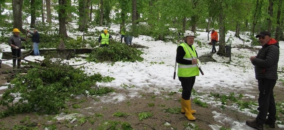 Gli Alpini subito in prima linea per ridare vita al parco Ducale