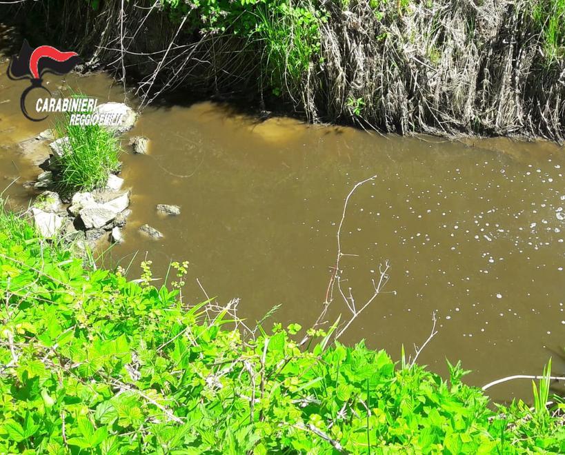 L’inquinamento del rio Maillo ha causato la morte dei pesci 
