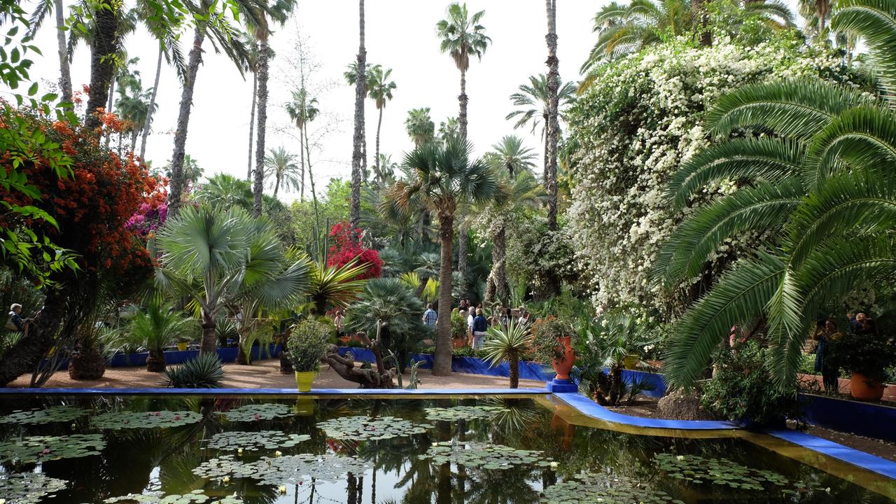 Check in/ I giardini di Marrakech: alla scoperta della sua anima green