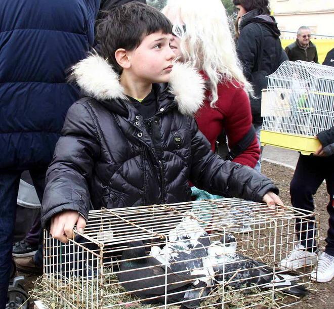 Festa degli animali, un successo 