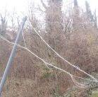 Albero cade su un traliccio black out in tre frazioni