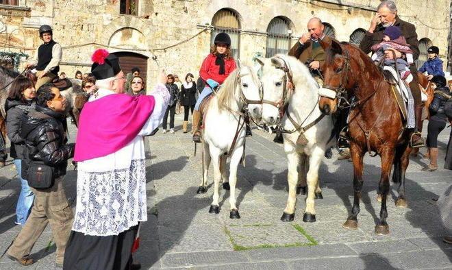 La benedizione degli animali