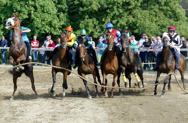 Un Palio straordinario per Montanelli