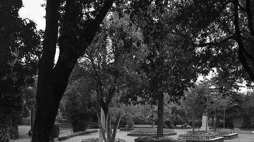Quel tristissimo spettacolo all’anfiteatro