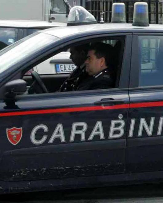 Nascondevano la droga nel bosco 