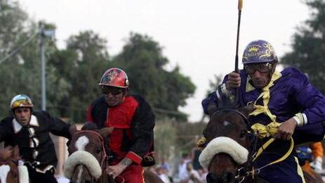 Il Palio si fa in cinque tornano in pista anche i purosangue