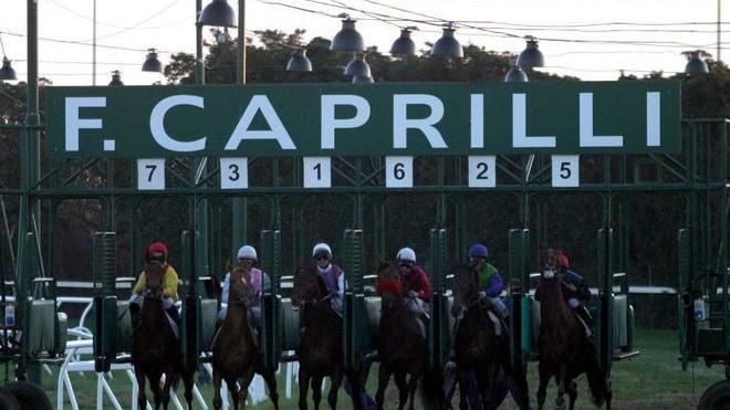 Con le lettiere equine una centrale biomasse al Caprilli