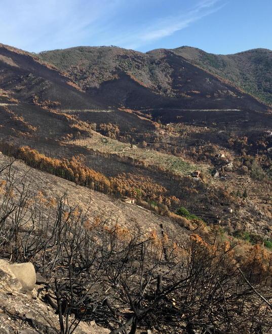Il Monte Pisano cambia marcia grazie a quindici imprenditori 