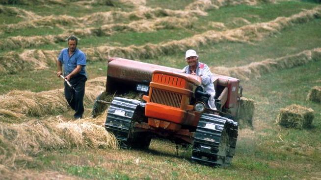 L’Imu sui terreni agricoli fa paura: «Così chiudiamo»