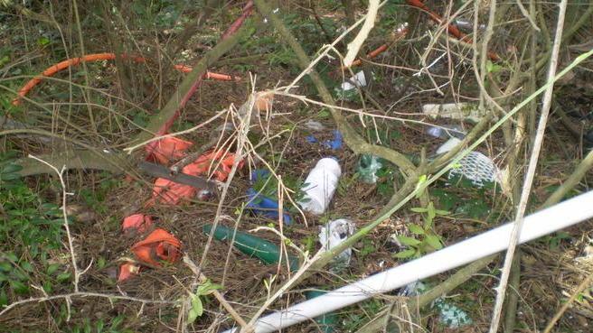 Punto ristoro e pulizia nella pineta di Marina di Bibbona